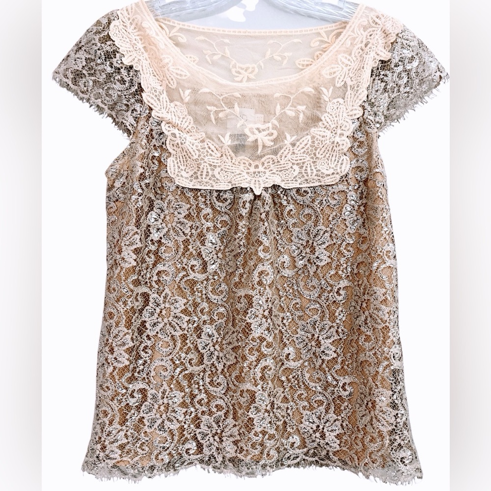 HD in Paris | Anthropology Romantic Lace Tunic Top with Silver Lurex Thread | 4